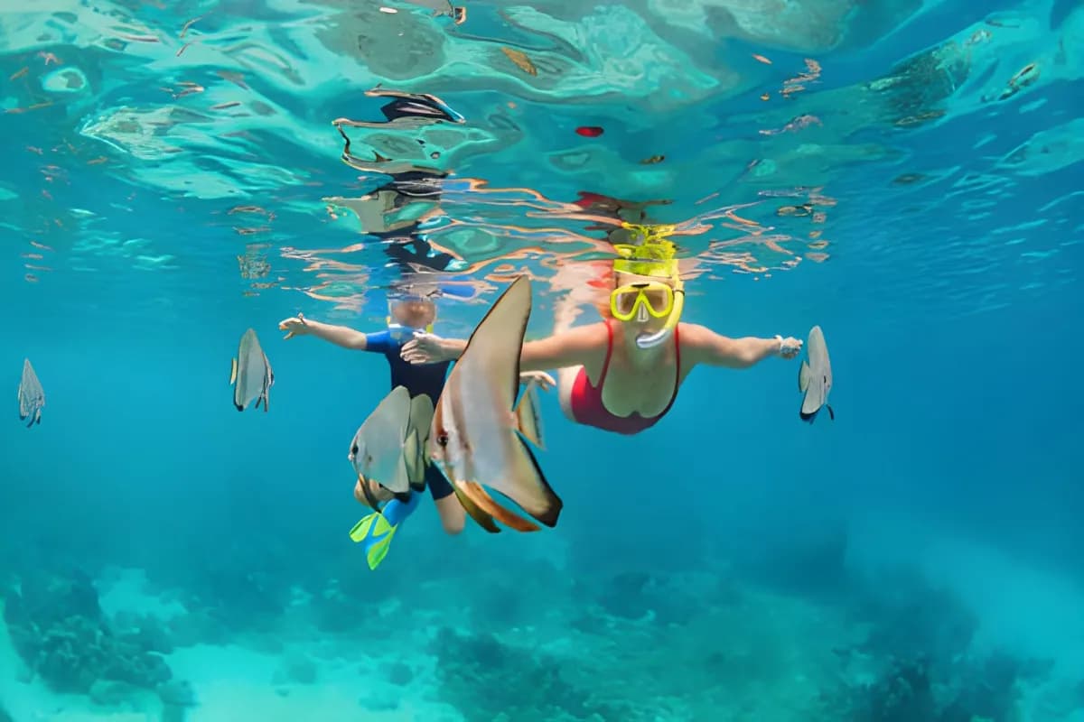 Snorkeling in Thailand