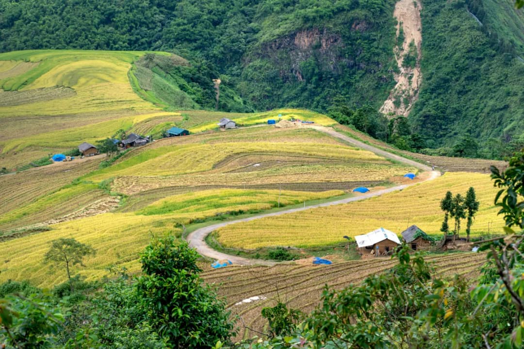 Y Linh Ho Village