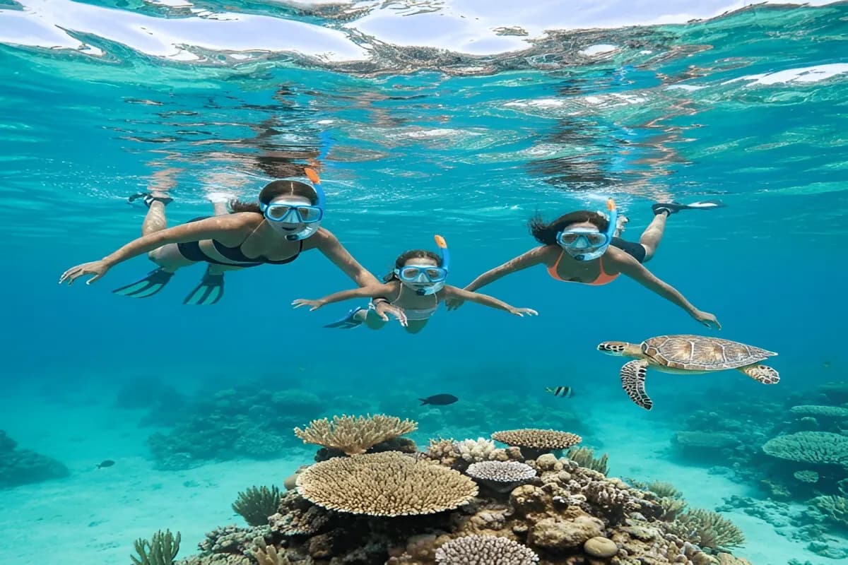 Snorkeling Sri Lanka