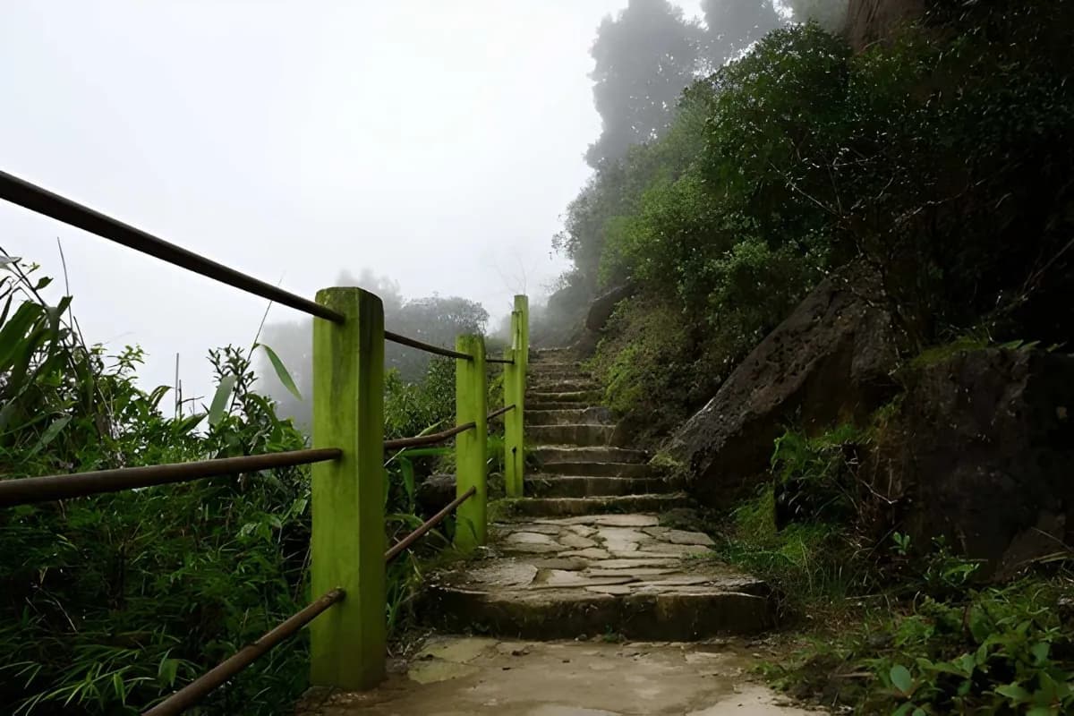 Way to Laitlum Grand Canyon in Meghalaya