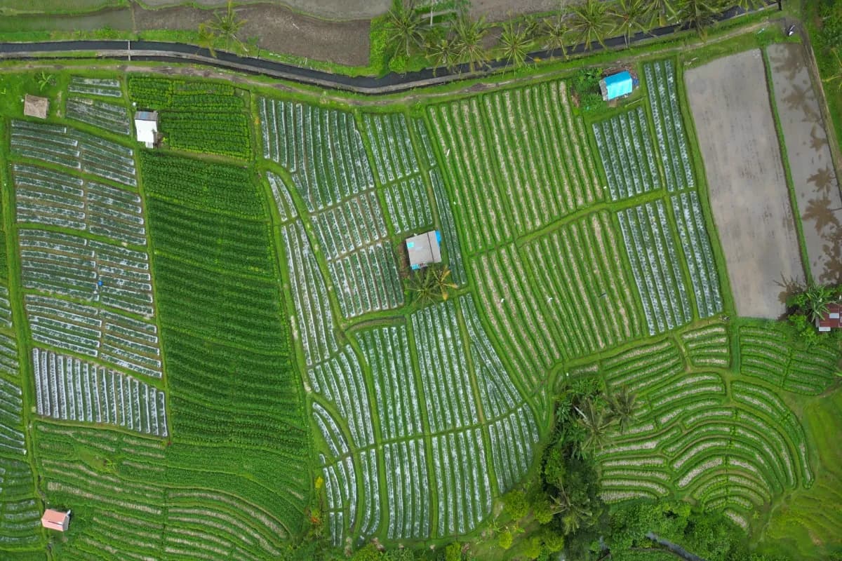 Aerial view Rice field Terraces panoramic hillside Sidemen in Bali