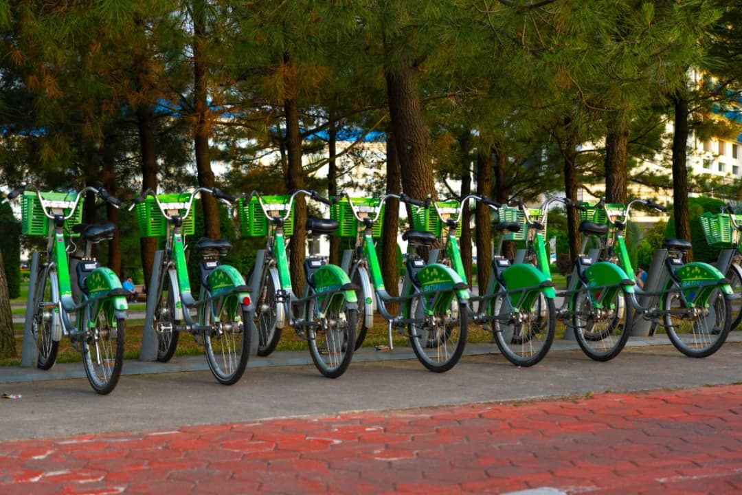 Bike Rentals