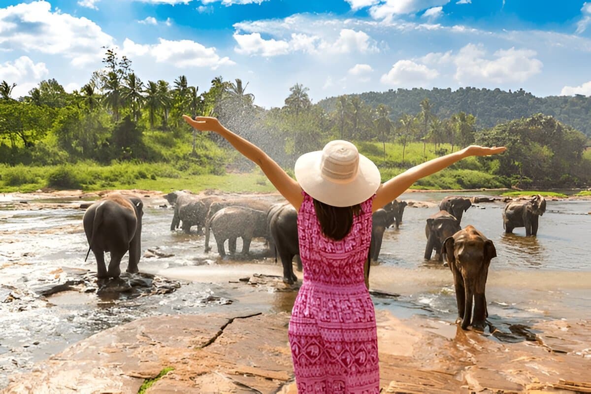 Pinnawala Elephant Orphanage
