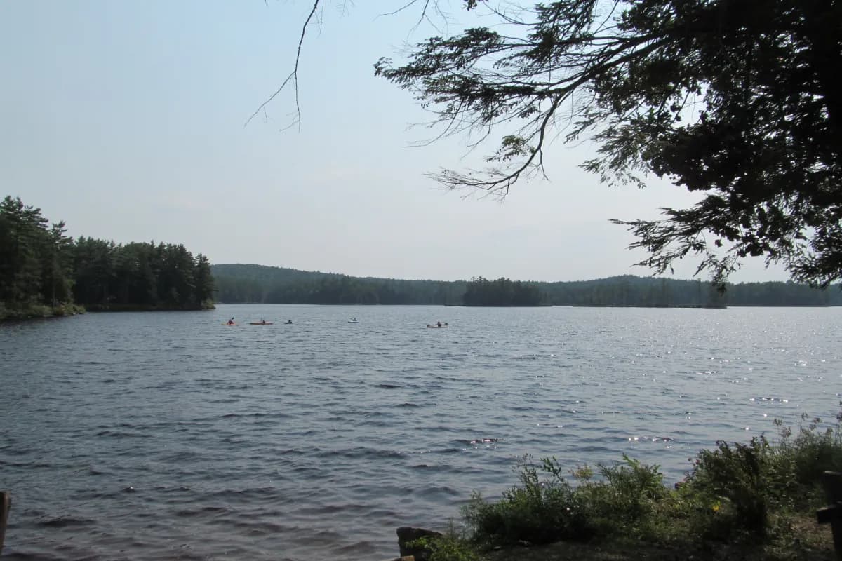 tully river