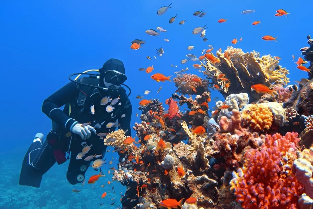 Scuba Diving in Sri Lanka