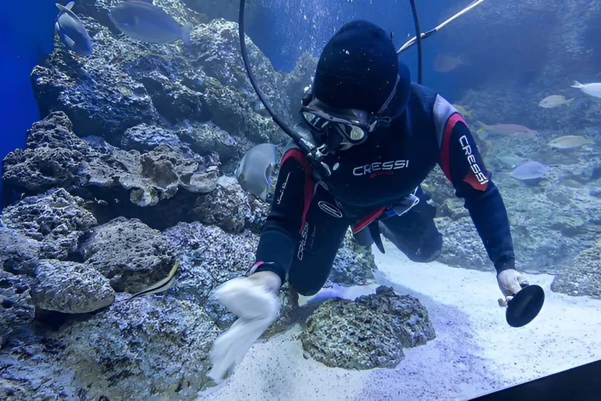 Scuba Diving Singapore