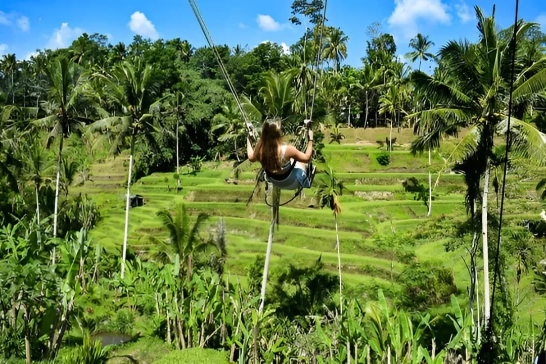 Beautiful Rice Fields