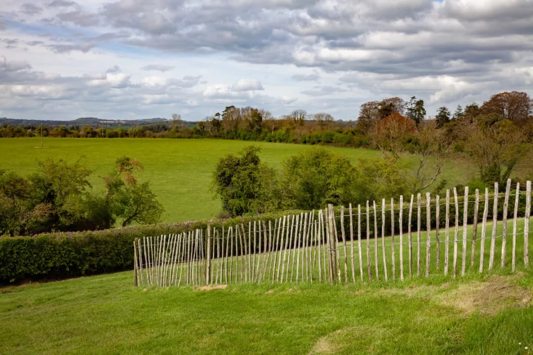 The Sacred Broom-Grass Fields
