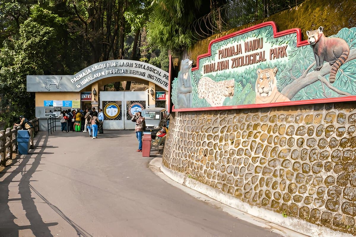 Padmaja Naidu Himalayan Zoological Park
