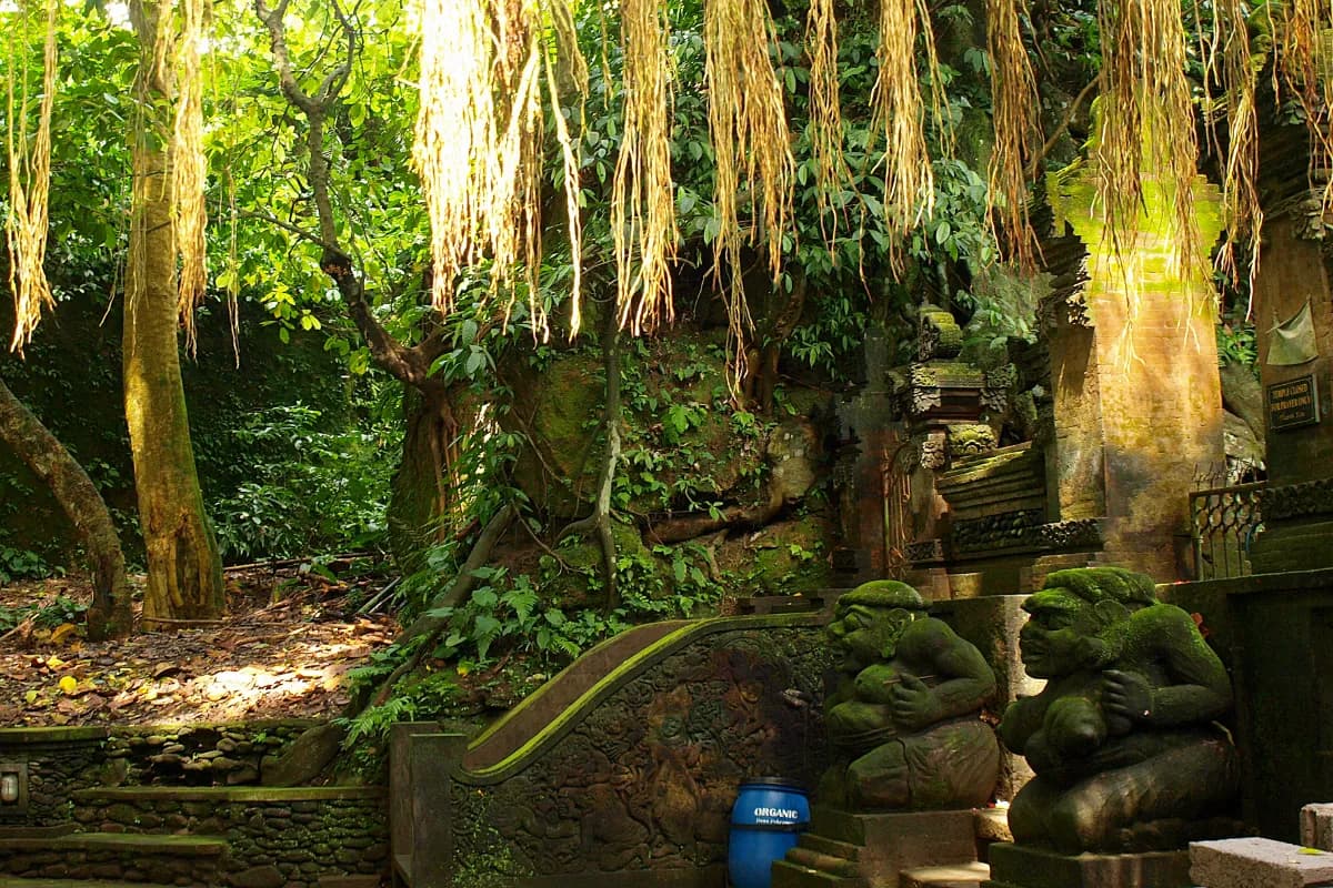 Image of Ubud Monkey Forest in bali