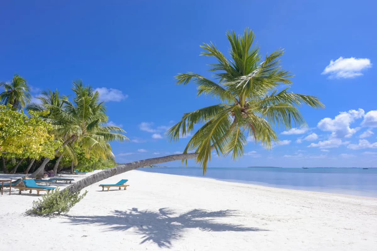 Thulusdhoo