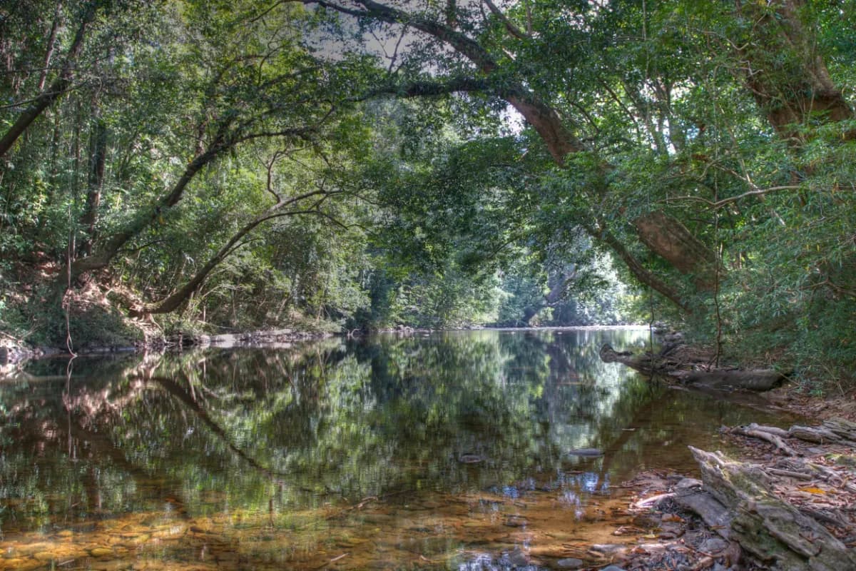 Taman Negara National Park