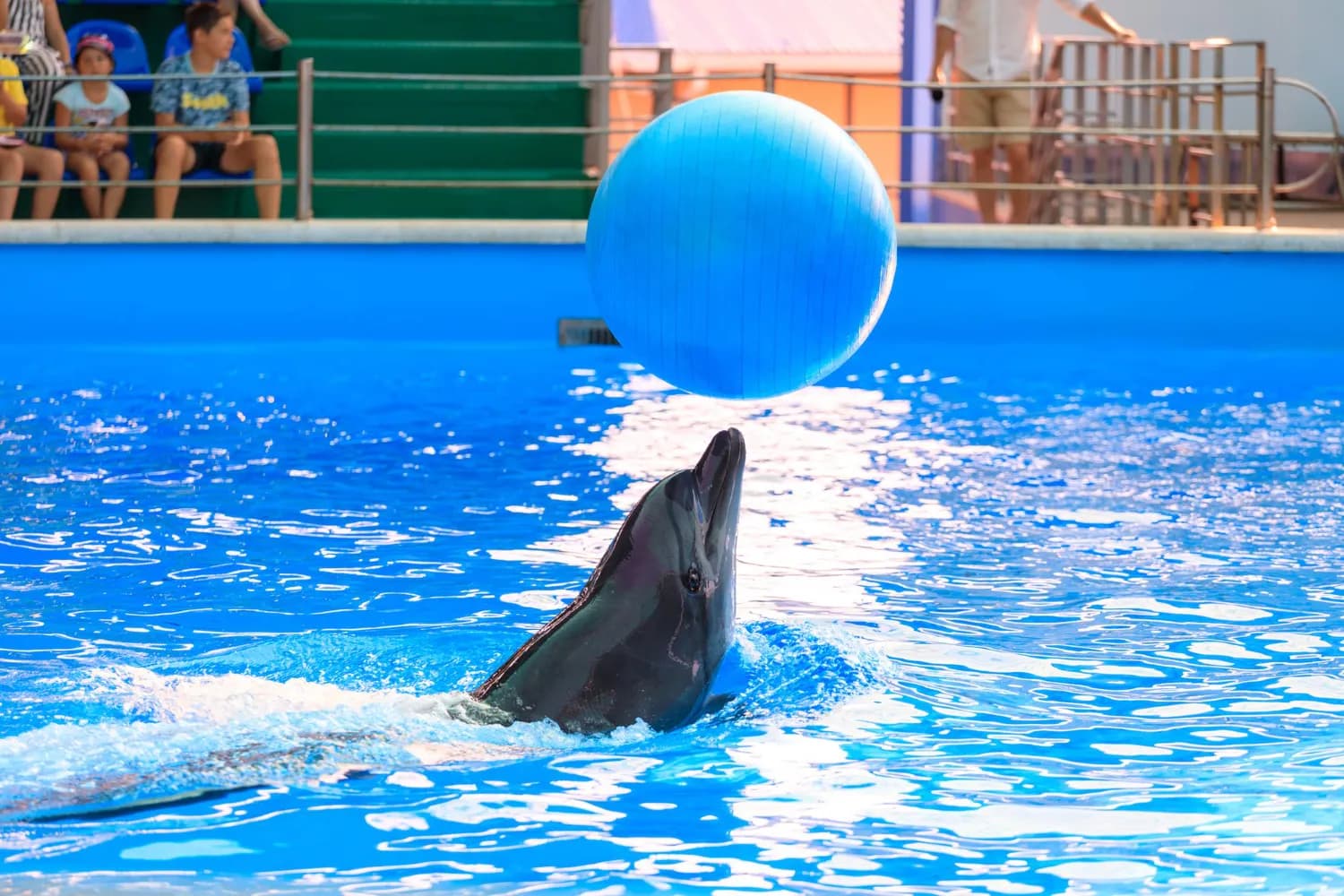 Dubai Dolphinarium