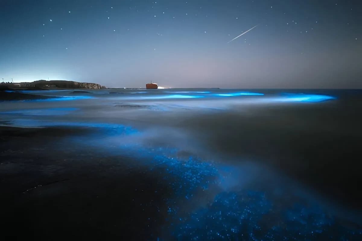 Glowing Beach Lakshadweep