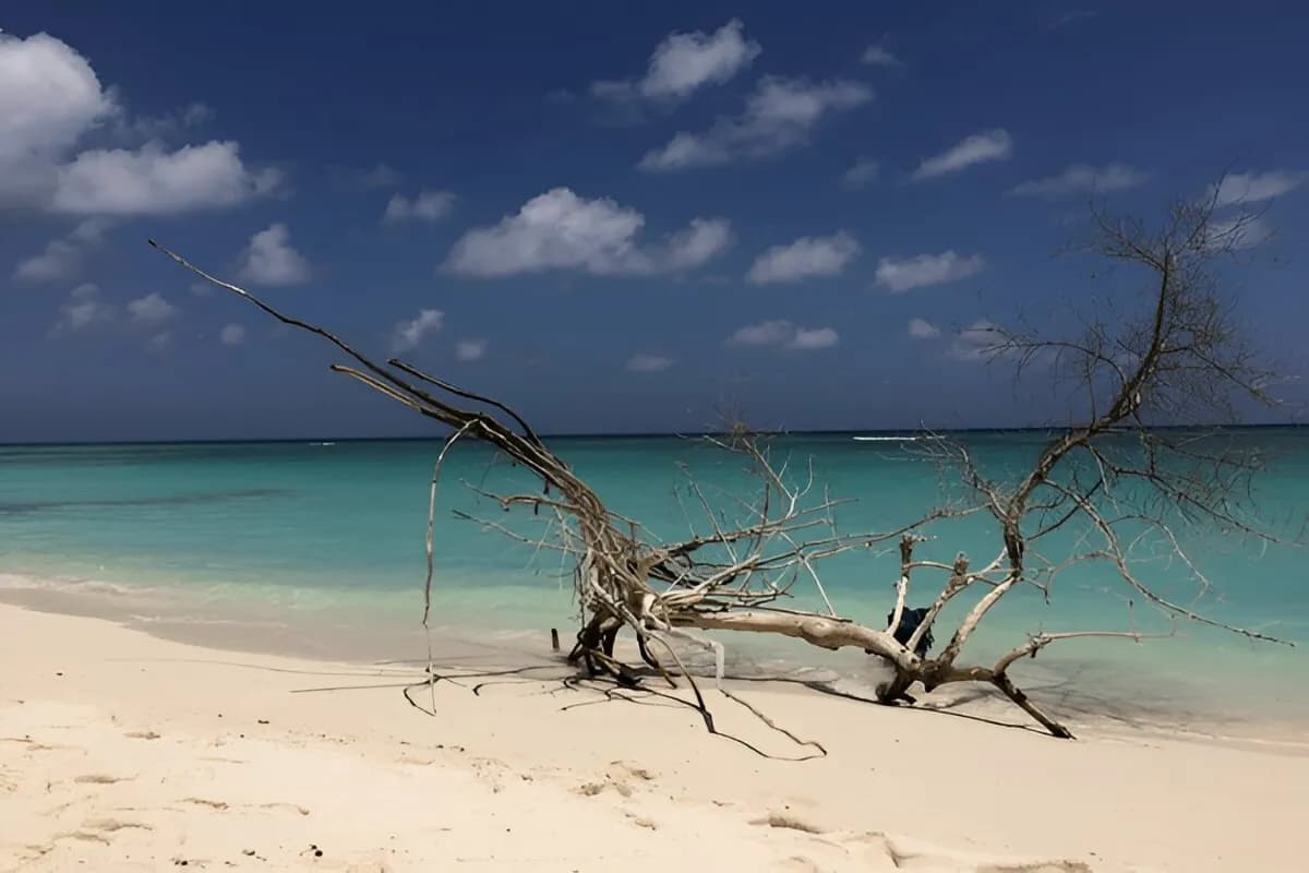 Kadmat Beach