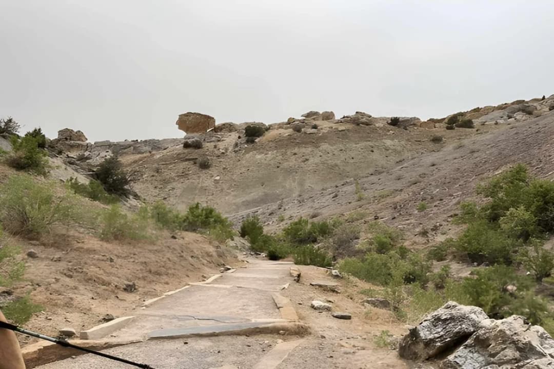 Fossil Discovery Sites