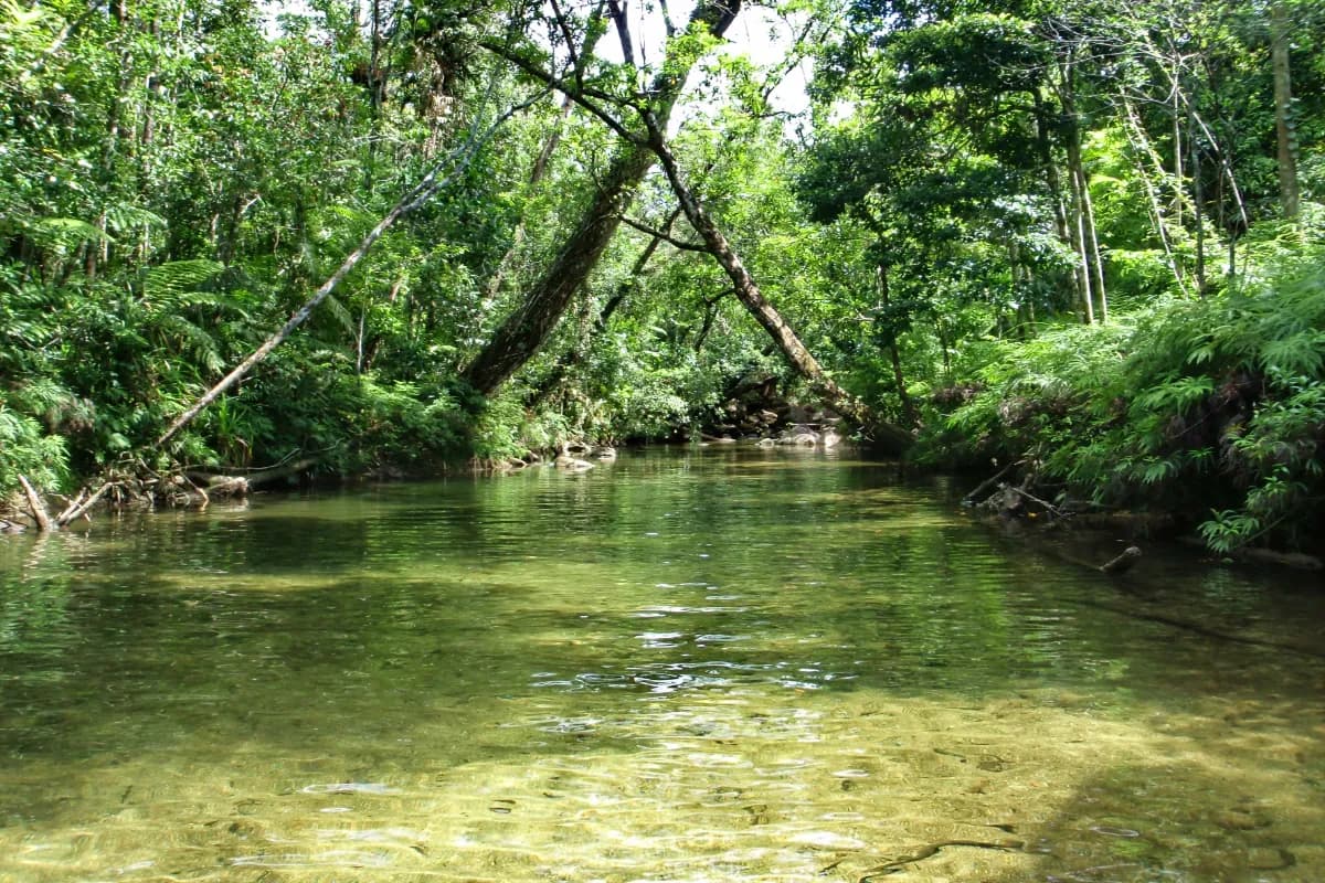 tully river
