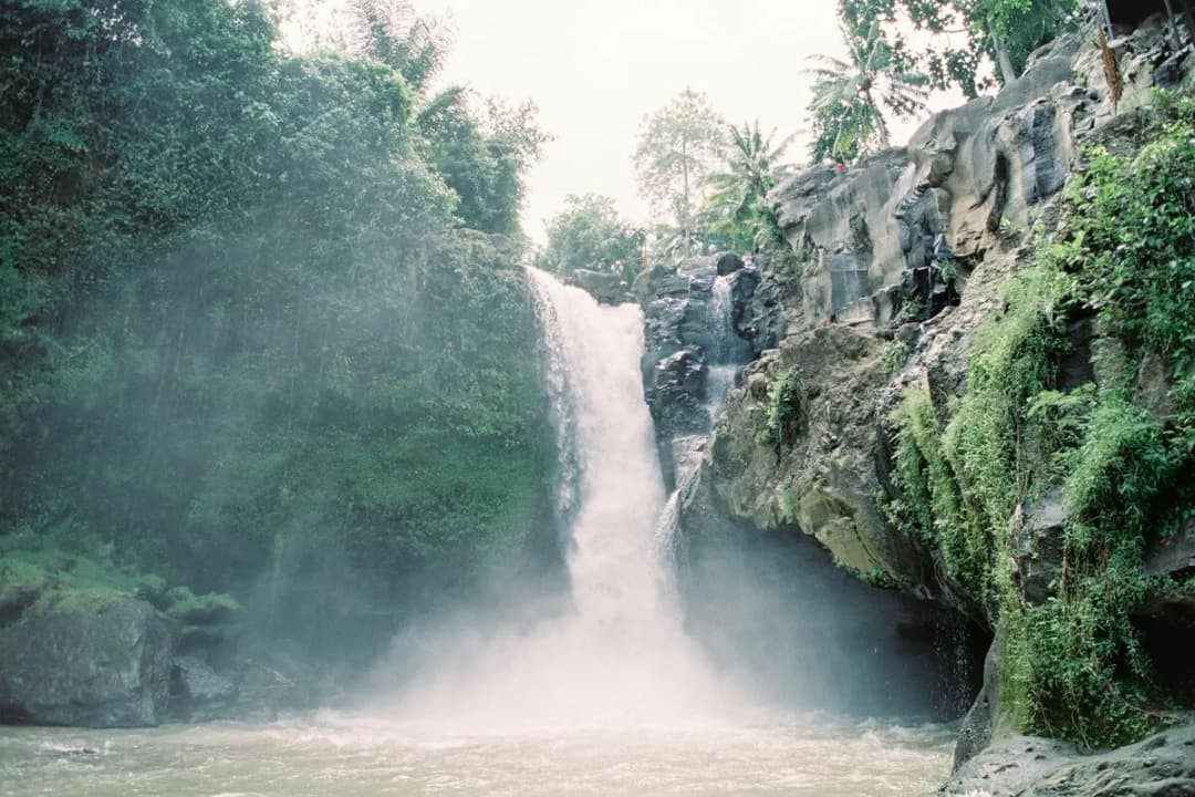 Jungle Waterfalls