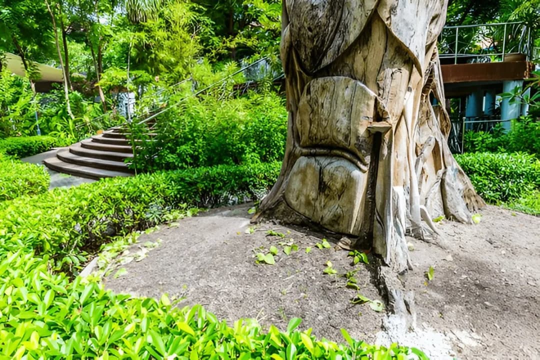 Sultan Park & National Museum