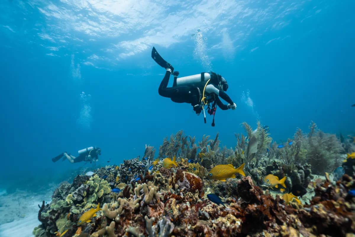 Scuba Diving in Malaysia