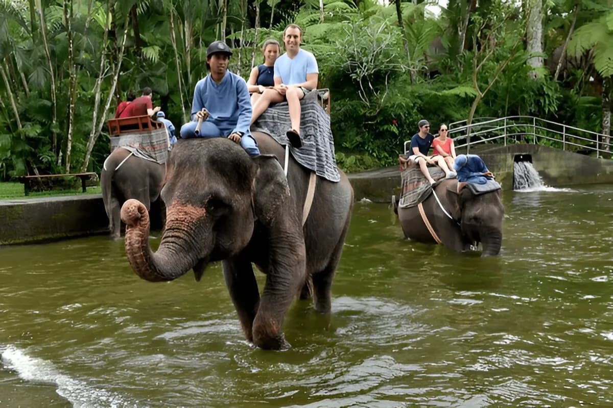 Jungle Safari in Bali