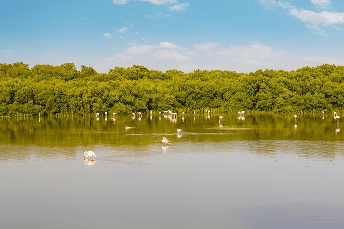 Ras Al Khor Dubai