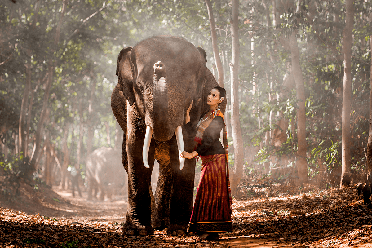 Cultural Immersion: Kerala Tour Packages for Families