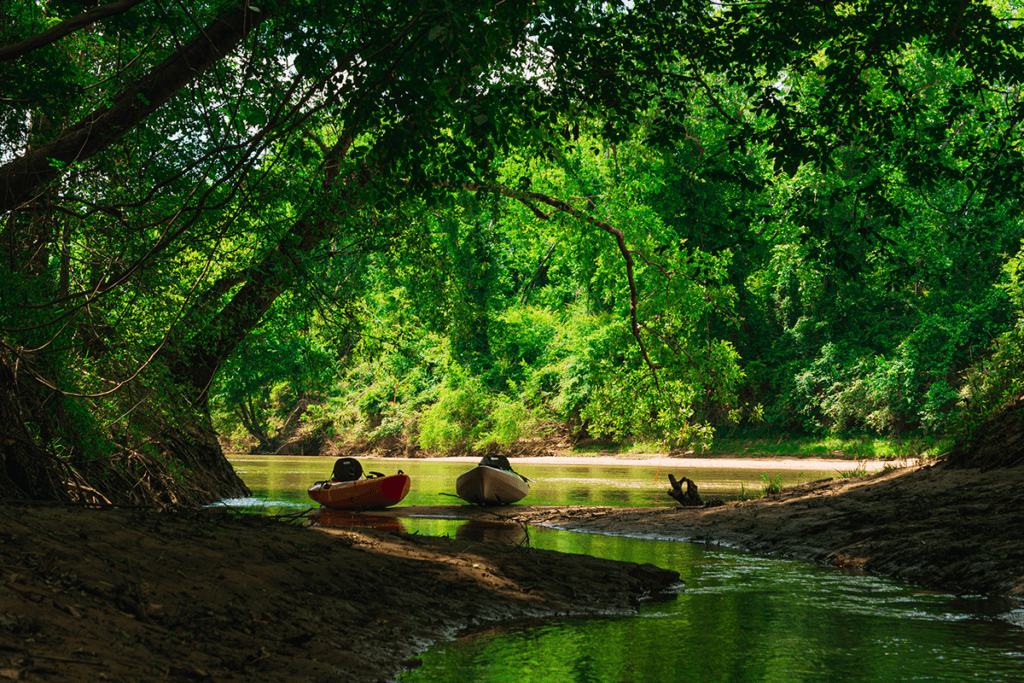 Family Adventure and Relaxation in Dandeli: Discover the Best Resorts and Packages