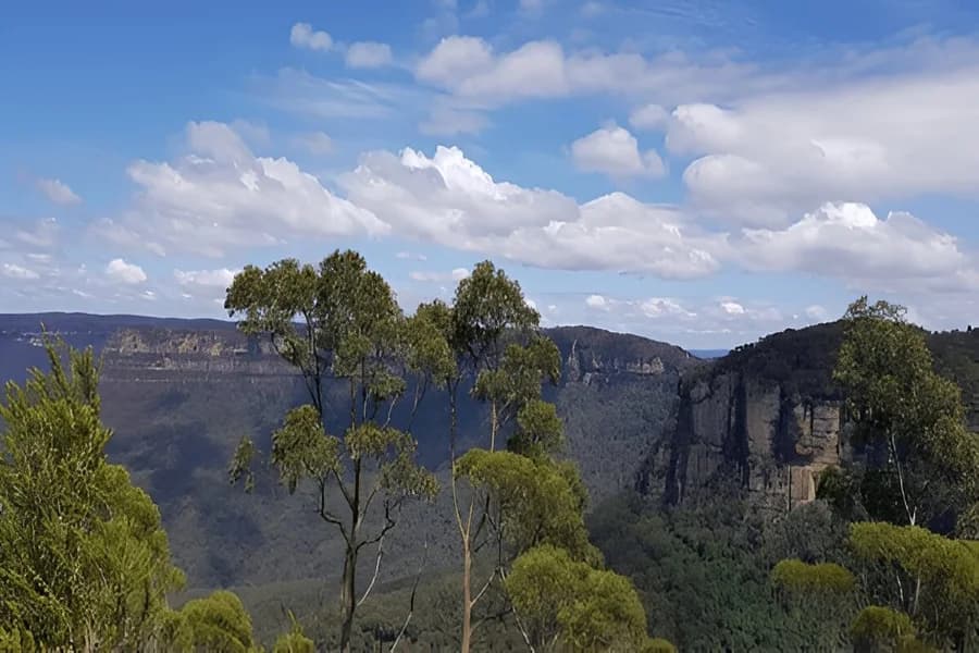 Blue Mountains National Park