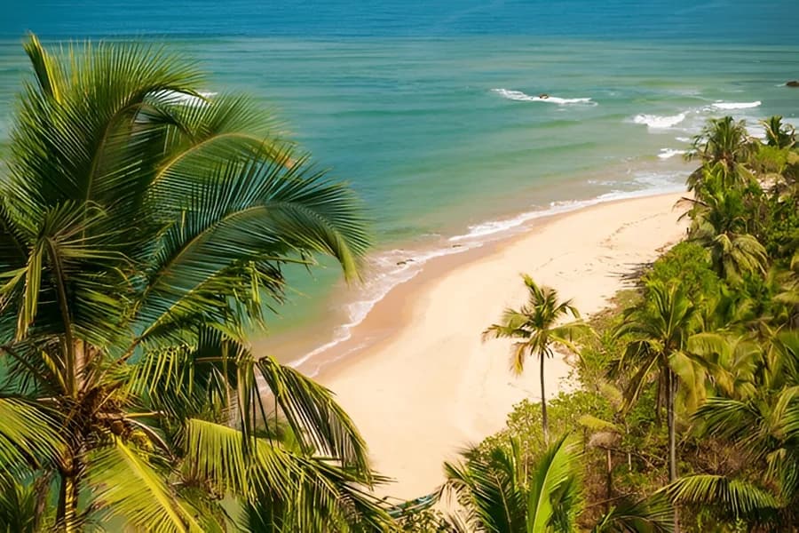 Arrival & Exploring North Goa Beaches