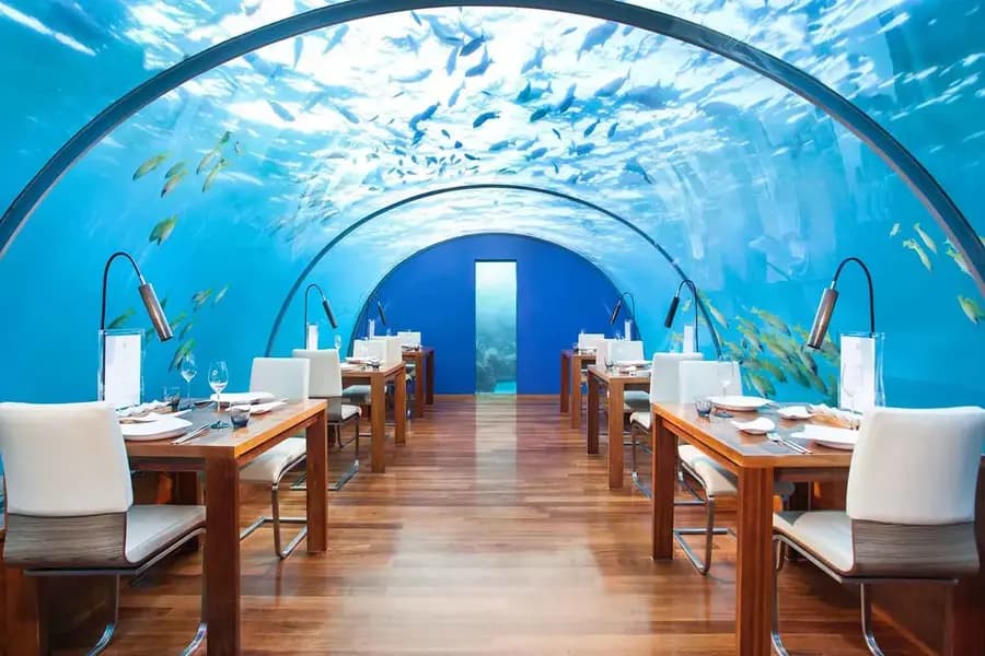 Underwater Dinner
