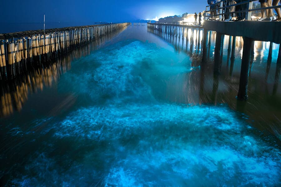Glowing Beach on Vaadhoo Island