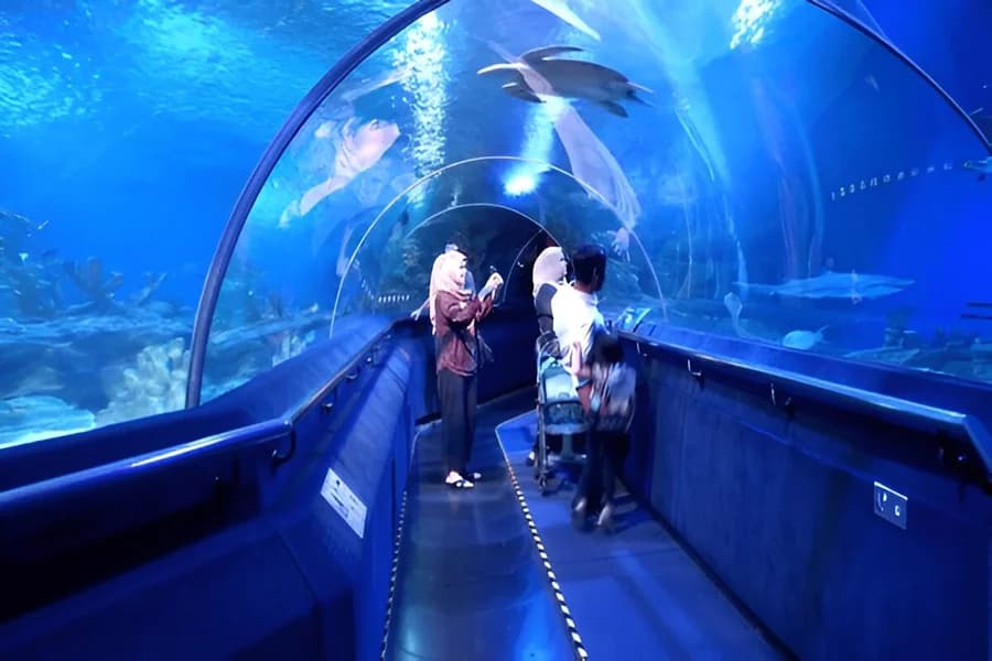 Dive into Discovery at Aquaria KLCC