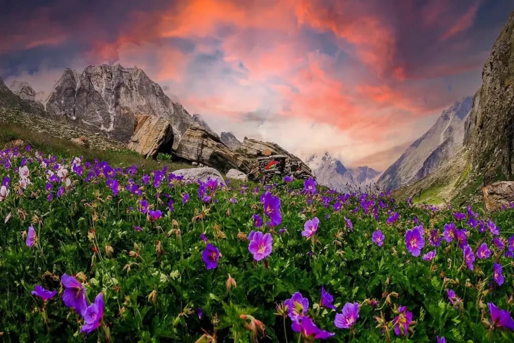 Valley Of Flower Trek