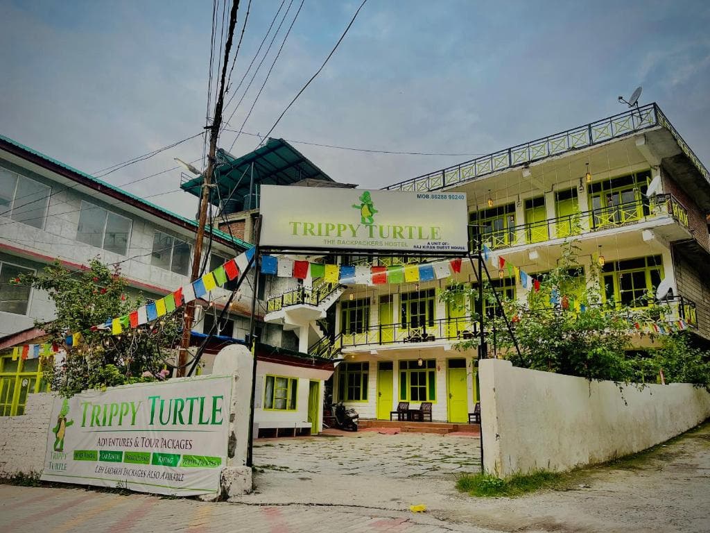 Trippy Turtle Hostel