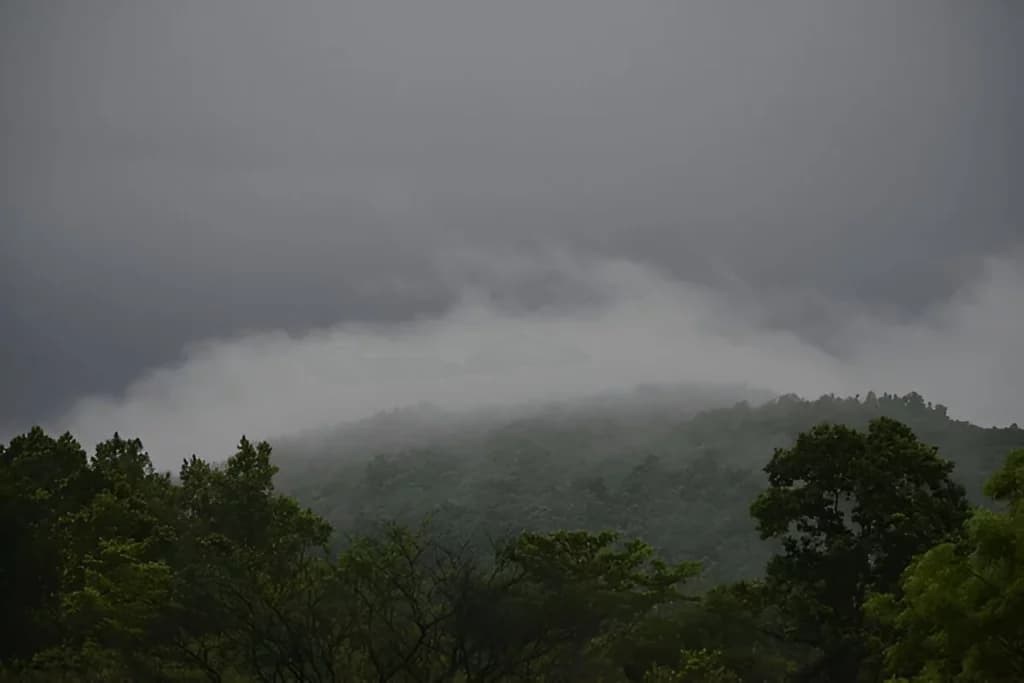 Monsoon in Odisha
