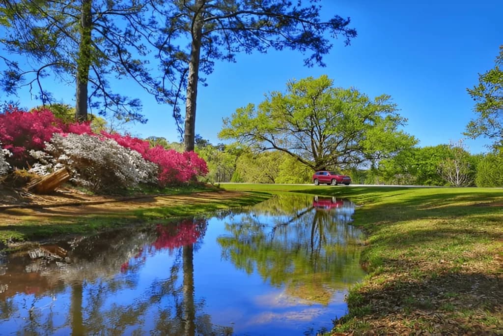 Visit Callaway Gardens and Robin Lake Beach